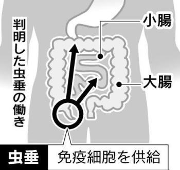 ãè«åãã®ç»åæ¤ç´¢çµæ